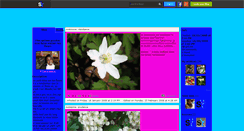 Desktop Screenshot of flowerspaces.skyrock.com