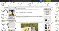 Desktop Screenshot of lilipucecookie.skyrock.com