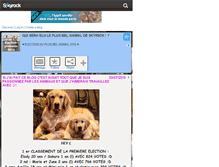 Tablet Screenshot of election-animaux-2010.skyrock.com