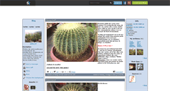 Desktop Screenshot of cactus-47.skyrock.com