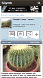 Mobile Screenshot of cactus-47.skyrock.com