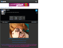 Tablet Screenshot of cupra-amstaff.skyrock.com