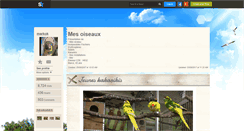 Desktop Screenshot of markok.skyrock.com