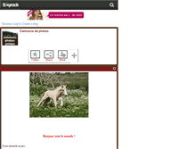 Tablet Screenshot of concours-photos-poneys.skyrock.com