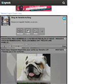 Tablet Screenshot of hestelle-bulldog.skyrock.com