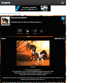 Tablet Screenshot of breyerbulle.skyrock.com
