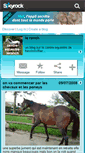 Mobile Screenshot of centre-equestre-leranch.skyrock.com
