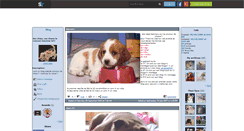 Desktop Screenshot of chien-star.skyrock.com