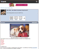 Tablet Screenshot of chien-star.skyrock.com