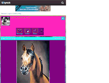 Tablet Screenshot of best-breyer-1997.skyrock.com