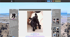 Desktop Screenshot of bull-do-zr.skyrock.com