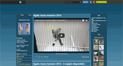 Desktop Screenshot of kanarinci-micetic.skyrock.com