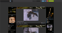 Desktop Screenshot of pogona22.skyrock.com
