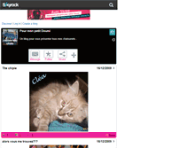 Tablet Screenshot of j-adore-les-chats.skyrock.com