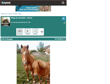 Tablet Screenshot of ensemble---cheval.skyrock.com