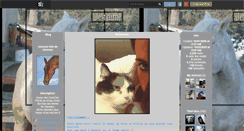 Desktop Screenshot of concour-foto-chevaux.skyrock.com