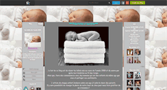Desktop Screenshot of bebesde2008.skyrock.com