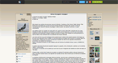 Desktop Screenshot of pigeonvoiyageurtop.skyrock.com