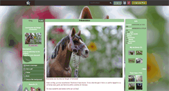 Desktop Screenshot of margmarg3.skyrock.com