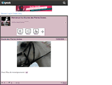 Tablet Screenshot of ecurie-des-pierres-doree.skyrock.com