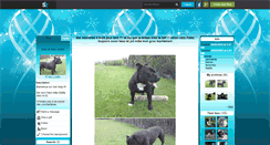 Desktop Screenshot of falko-staffie.skyrock.com