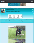 Tablet Screenshot of falko-staffie.skyrock.com