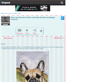 Tablet Screenshot of beryldesbourbon-d-allier.skyrock.com