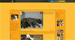 Desktop Screenshot of dogocanario14.skyrock.com