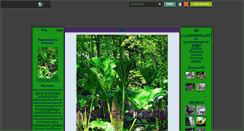 Desktop Screenshot of mon-parc-ornemental.skyrock.com
