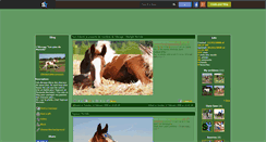 Desktop Screenshot of chevaux-pies-concours.skyrock.com