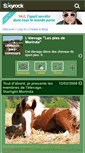 Mobile Screenshot of chevaux-pies-concours.skyrock.com