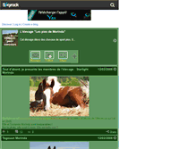 Tablet Screenshot of chevaux-pies-concours.skyrock.com