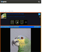 Tablet Screenshot of amazonneamazonica.skyrock.com