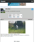 Tablet Screenshot of bric-a-brac-50.skyrock.com