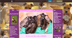 Desktop Screenshot of guess-amstaff.skyrock.com