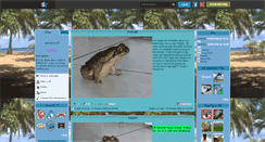 Desktop Screenshot of catmac.skyrock.com