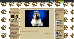 Desktop Screenshot of mapassion-shih-tzu.skyrock.com