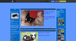 Desktop Screenshot of happy-bichon-havanais.skyrock.com