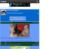 Tablet Screenshot of happy-bichon-havanais.skyrock.com