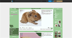 Desktop Screenshot of mon-cobaye-guizmo.skyrock.com