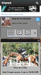 Mobile Screenshot of halvadelaplee.skyrock.com