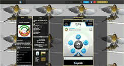 Desktop Screenshot of carras2008.skyrock.com