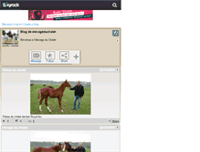 Tablet Screenshot of elevageduchalet.skyrock.com