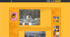 Desktop Screenshot of des-abeilles.skyrock.com