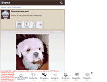 Tablet Screenshot of guizmo-le-lhassa-apso.skyrock.com