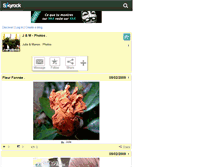 Tablet Screenshot of j-m-photos.skyrock.com