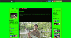 Desktop Screenshot of carpe-fighter.skyrock.com