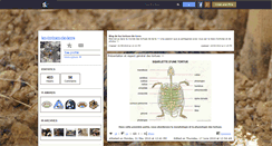 Desktop Screenshot of les-tortues-de-terre.skyrock.com