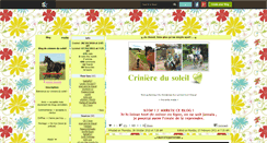 Desktop Screenshot of criniere-du-soleil.skyrock.com