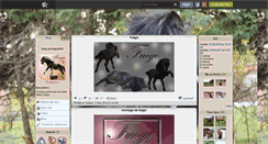 Desktop Screenshot of fuego2010.skyrock.com